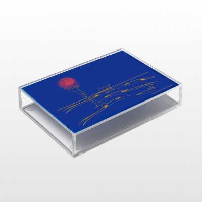 Κασετίνα γραφείου plexiglass "Ζορμπάς"